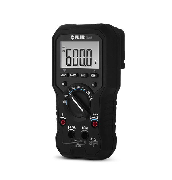 DM66